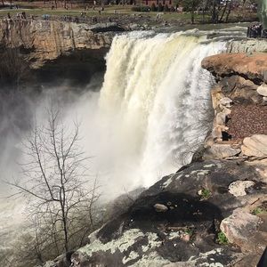 Meet your Posher, Laurel